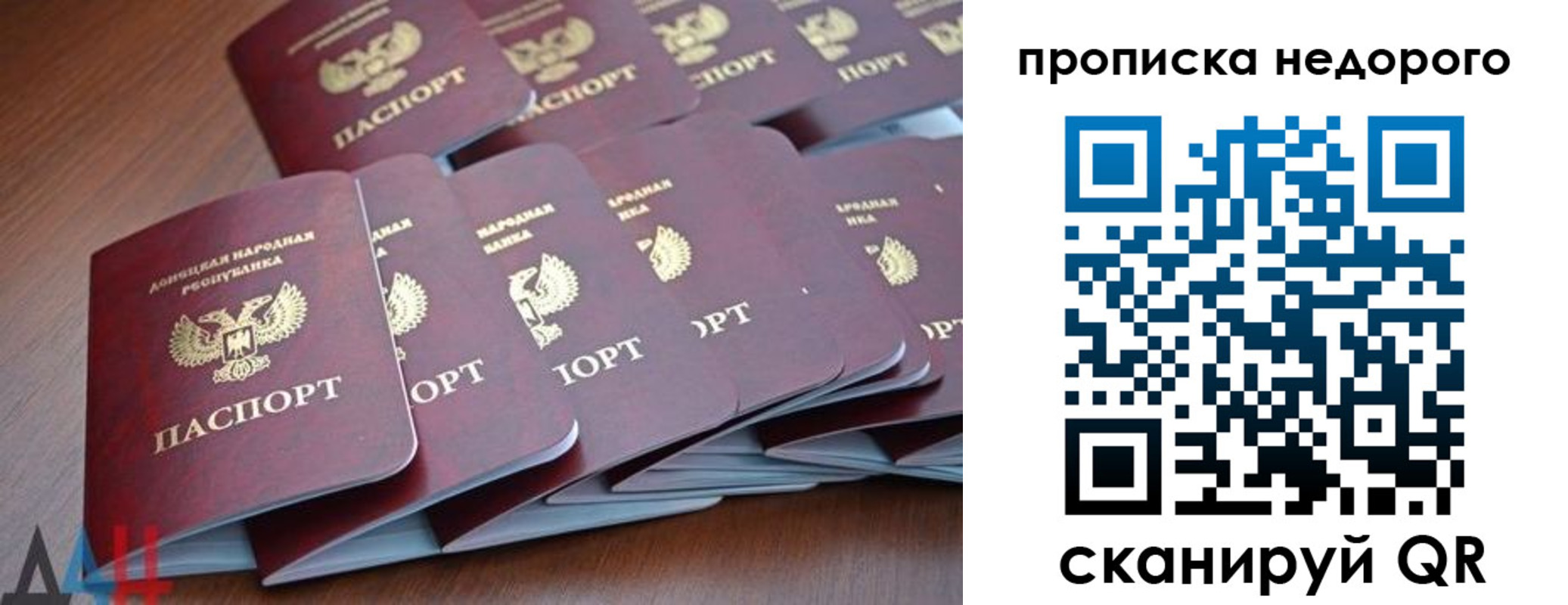 временная регистрация для всех в Амурской области