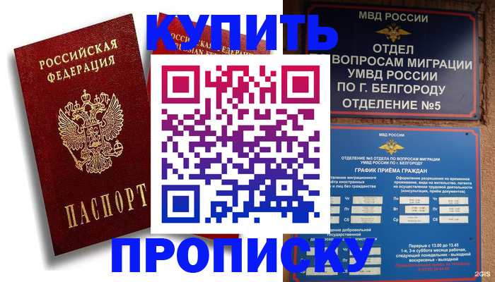 прописка иностранных граждан в Амурской области